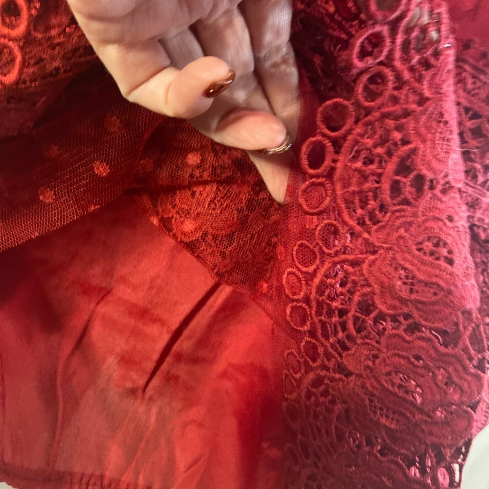 L & F~NWT~Lovely~Tiered Ruffle~Sheer Netting~Embroidered Lace~Mini Dress~Size S - Picture 13 of 15